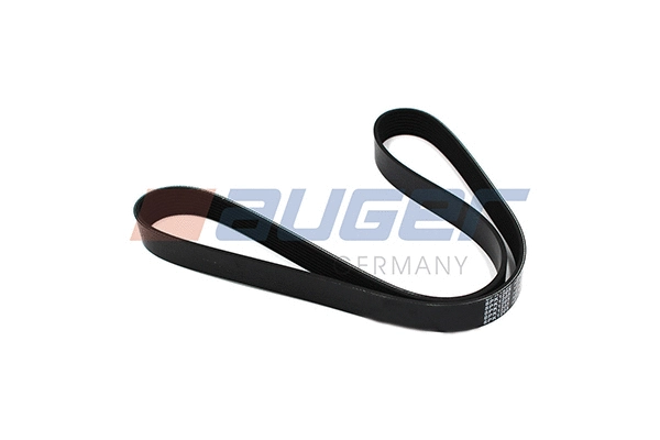 V-Ribbed Belt (79910)