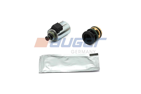 Solenoid Valve, shift cylinder (100040)