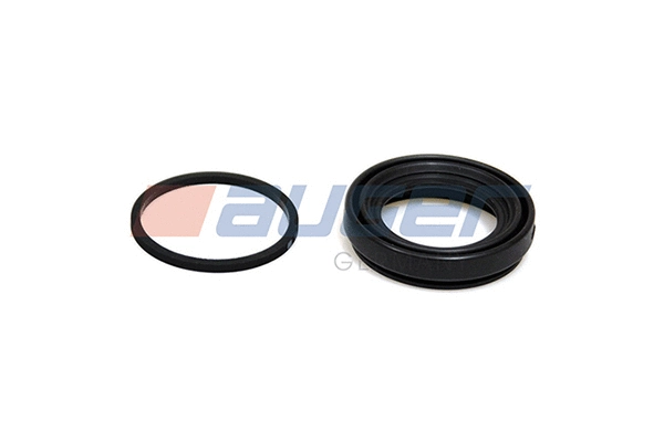 Repair Kit, brake caliper (55815)