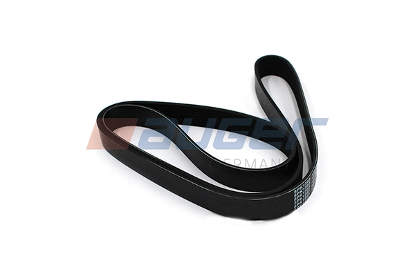 V-Ribbed Belt (80072)