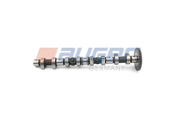 Camshaft (105901)