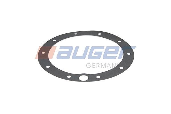 Seal Ring, wheel hub (73395)