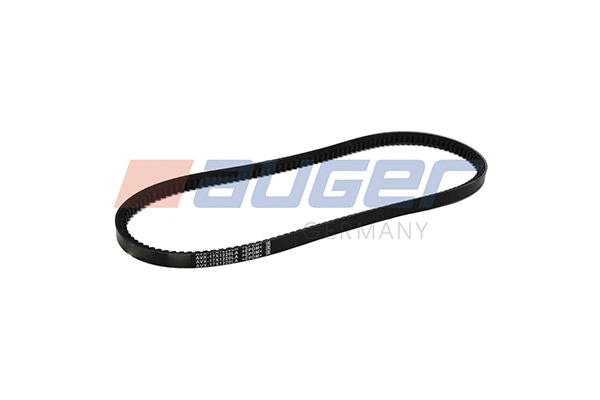 V-Belt (79891)