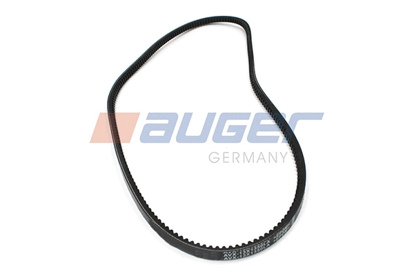 V-Belt (79840)