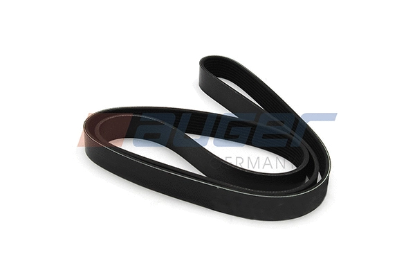 V-Ribbed Belt (79924)