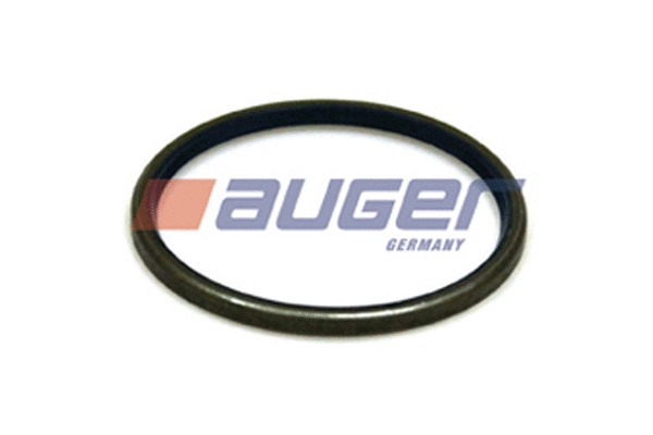 Seal Ring, steering knuckle (54891)