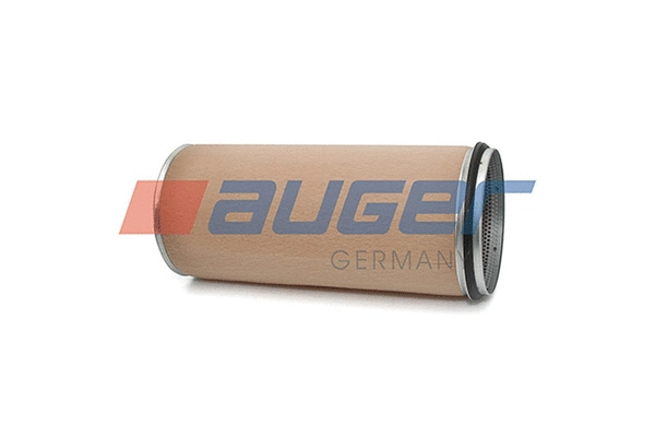Secondary Air Filter (76479)