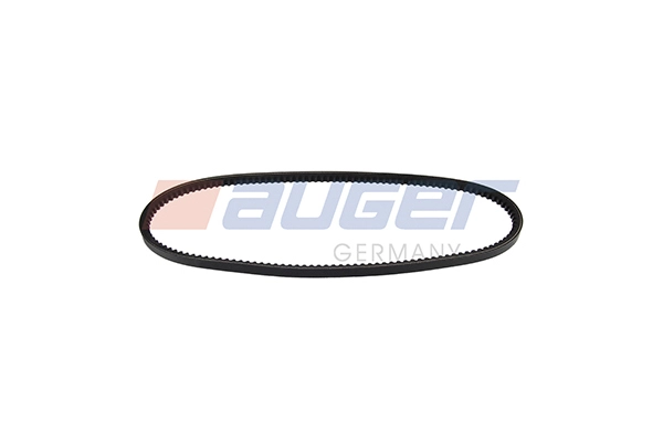 V-Belt (79855)