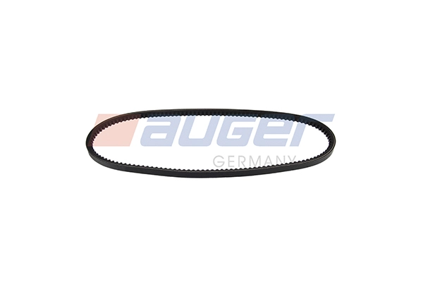 V-Belt (79818)