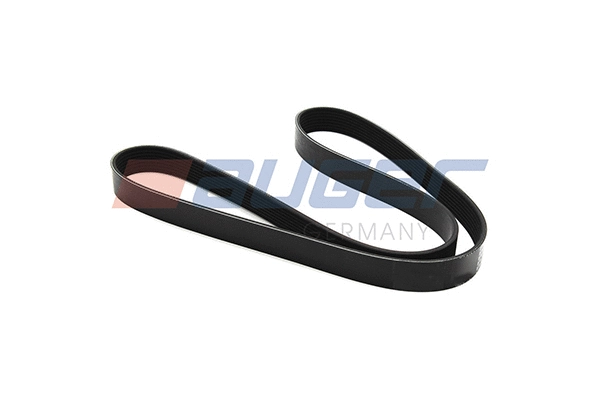 V-Ribbed Belt (79917)