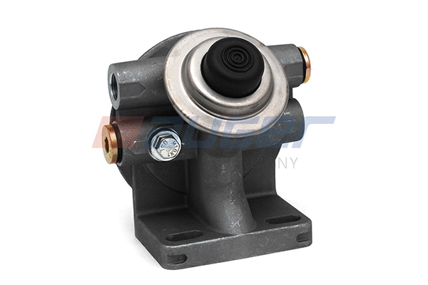 Cover, fuel filter (80250)