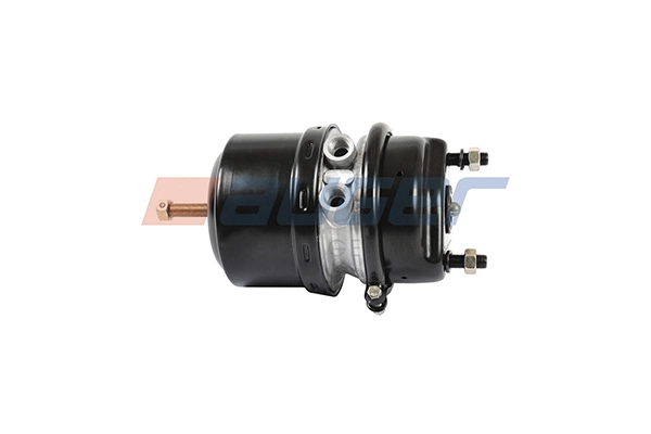 Spring-loaded Cylinder (21411)