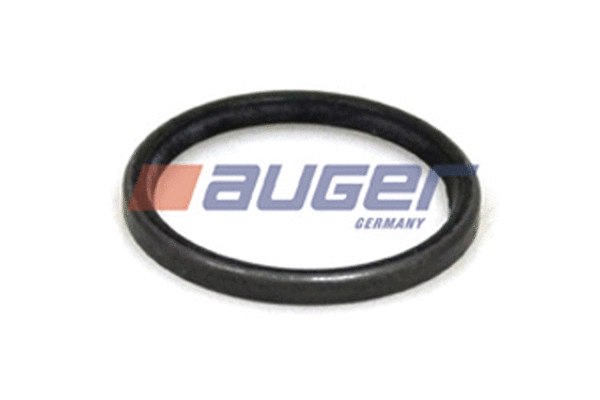 Seal Ring, steering knuckle (55238)
