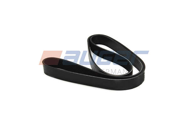 V-Ribbed Belt (80027)