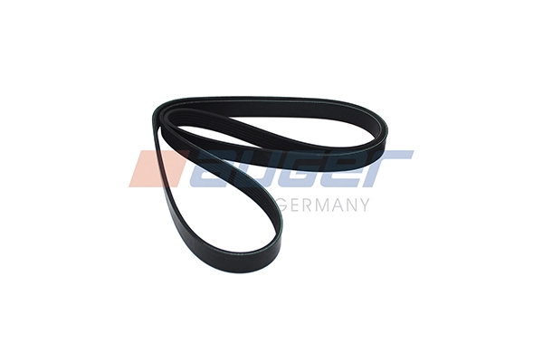 V-Ribbed Belt (80126)