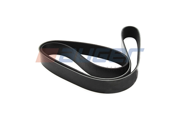 V-Ribbed Belt (79988)