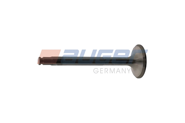 Exhaust Valve (107176)