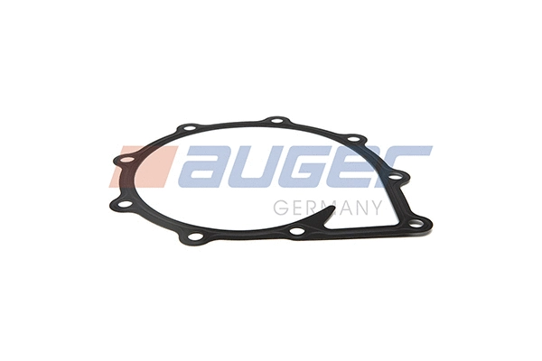 Gasket, water pump (94742)