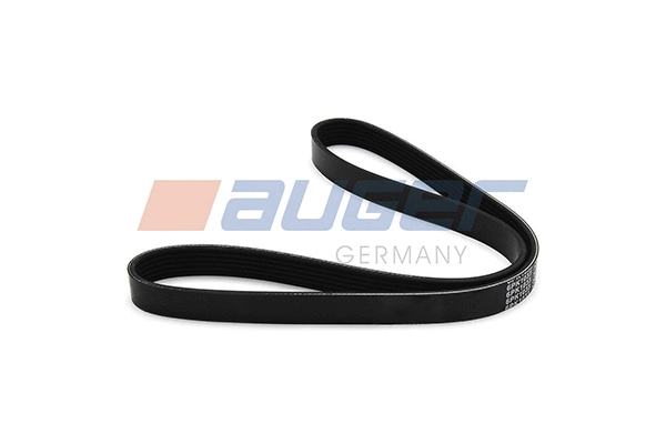 V-Ribbed Belt (80017)