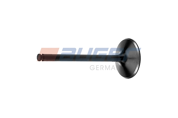 Intake Valve (107175)