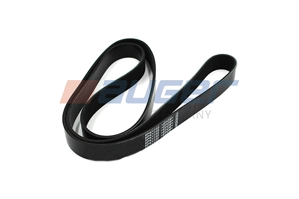V-Ribbed Belt (79928)