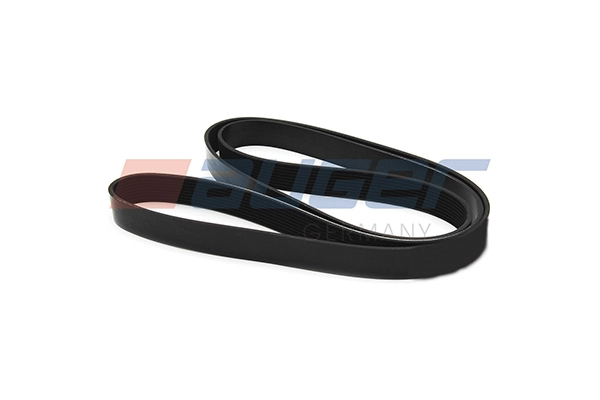 V-Ribbed Belt (90871)