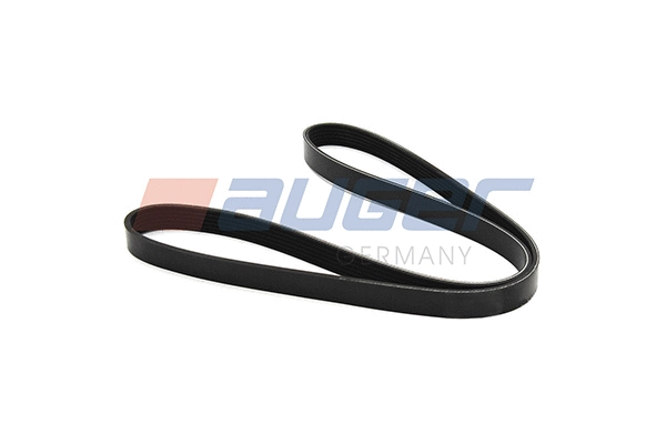 V-Ribbed Belt (87737)