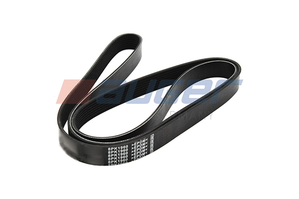 V-Ribbed Belt (79937)