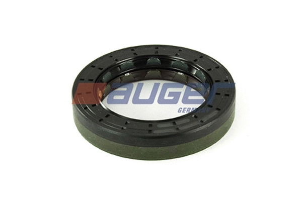 Shaft Seal, differential (69185)