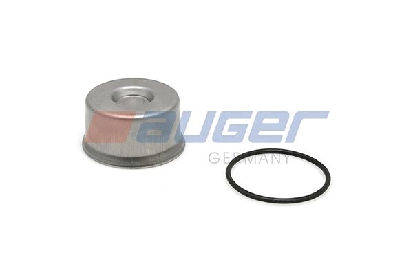 Repair Kit, brake caliper (53879)
