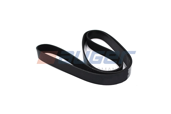 V-Ribbed Belt (79964)