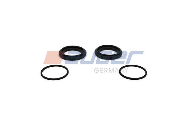Repair Kit, brake caliper (105163)