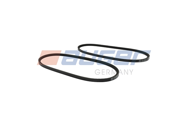 V-Belt (101685)