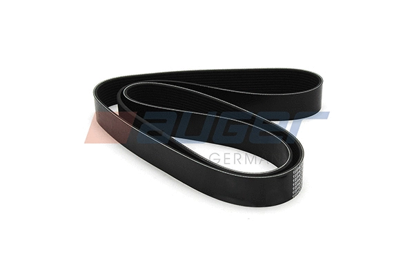 V-Ribbed Belt (80038)