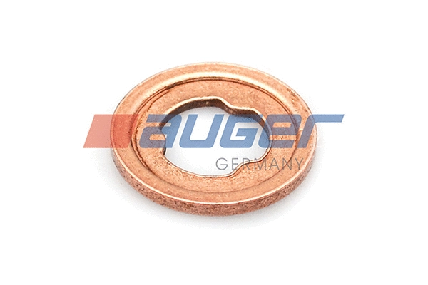 Seal, injector holder (80314)