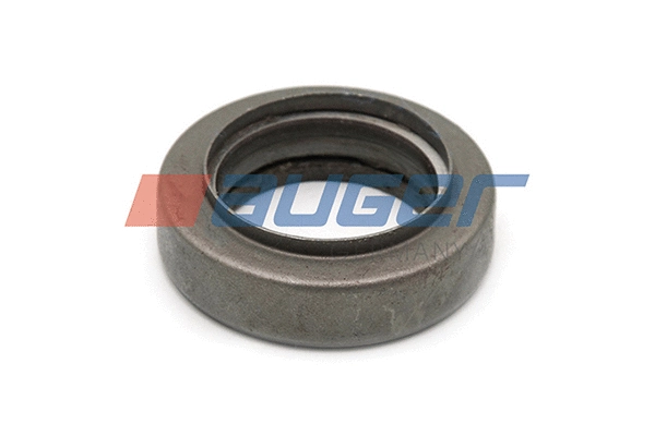 Bearing, steering knuckle (54815)