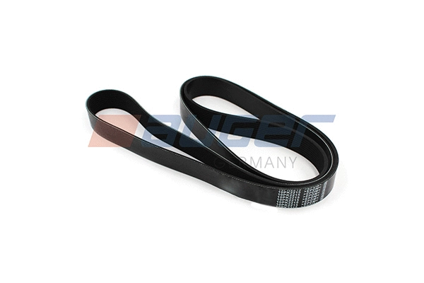 V-Ribbed Belt (80109)
