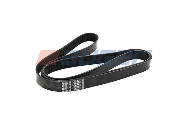 V-Ribbed Belt (79974)