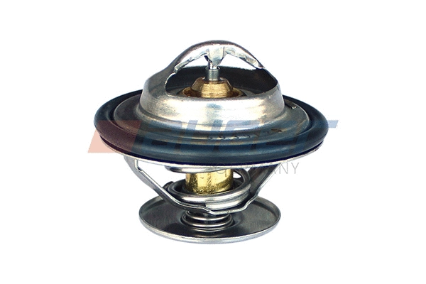 Thermostat, coolant (87659)