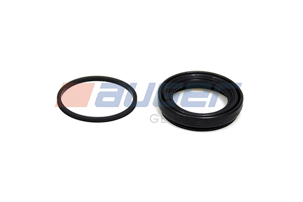 Repair Kit, brake caliper (55810)