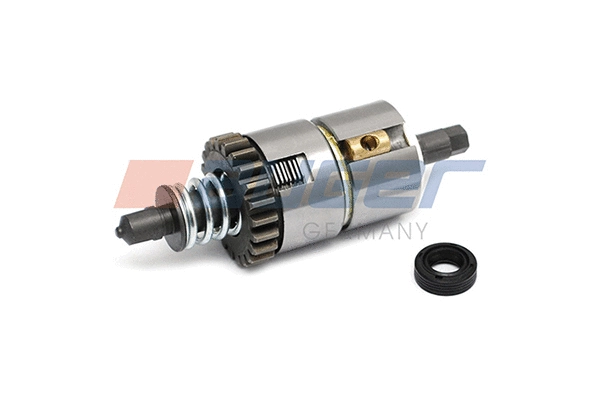 Repair Kit, brake caliper (55720)