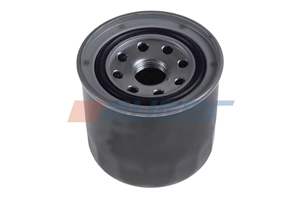 Fuel Filter (118560)