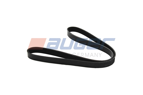 V-Ribbed Belt (79898)