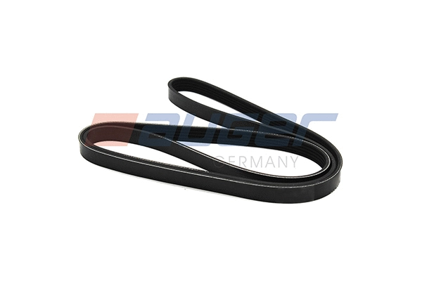 V-Ribbed Belt (87747)