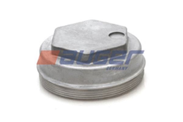 Cap, wheel bearing (53844)