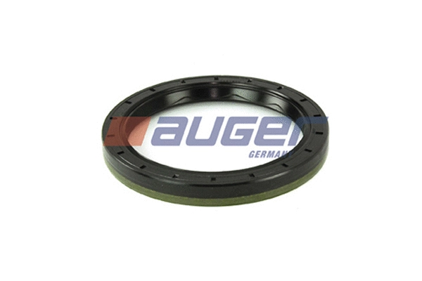 Shaft Seal, wheel hub (69179)