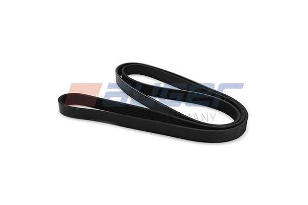 V-Ribbed Belt (80019)