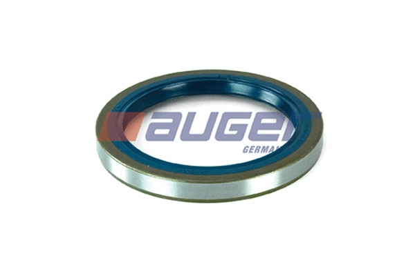 Shaft Seal, differential (69250)