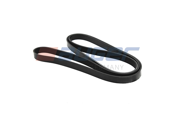 V-Ribbed Belt (87748)