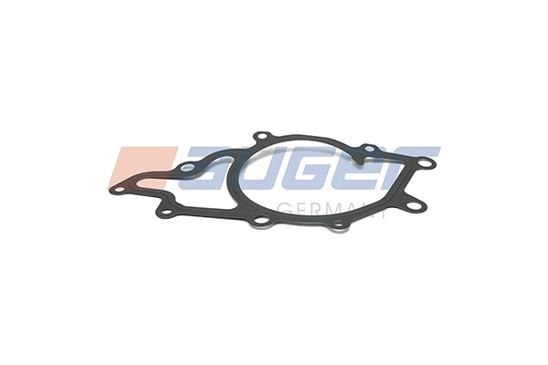 Gasket, water pump (100772)